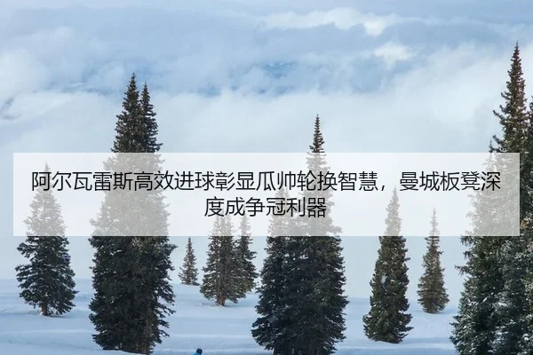 a-er-wa-lei-si-gao-xiao-jin-qiu-zhang-xian-gua-shuai-lun-huan-zhi-hui-man-cheng-ban-deng-shen-du-cheng-zheng-guan-li-qi-3-392.jpg