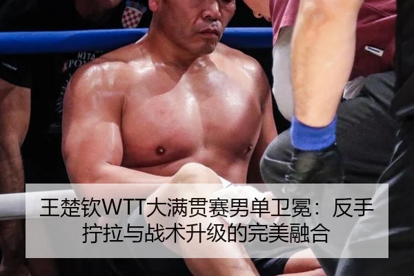 王楚钦WTT大满贯赛男单卫冕：反手拧拉与战术升级的完美融合